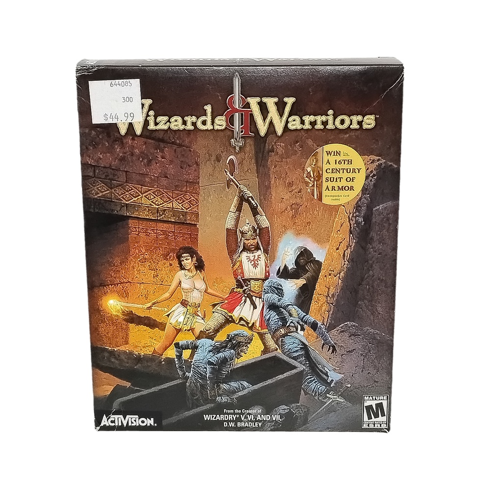 Wizards & Warriors PC CD-ROM Big Box Activision RPG D.W. Bradley Retro Gaming PC